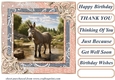 All about the donkey card front 6