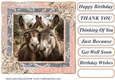 All about the donkey card front 7
