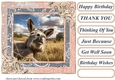 All about the donkey card front 9