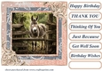 All about the donkey card front 10