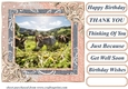 All about the donkey card front 11