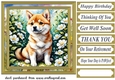 Puppy in flowers card front 12