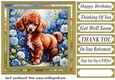 Floral Poodle puppy card front 2