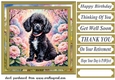 Floral Poodle puppy card front 5