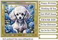 Floral Poodle puppy card front 6