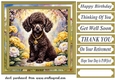 Floral Poodle puppy card front 7