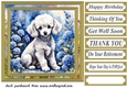 Floral Poodle puppy card front 9