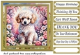 Floral Poodle puppy card front 11