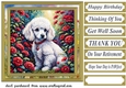 Floral Poodle puppy card front 12