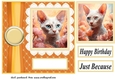 Floral Devon Rex cat card front 3