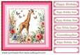Pink floral giraffe card front 7