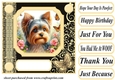 Black and yellow butterfly pup card front 3