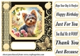 Black and yellow butterfly pup card front 5