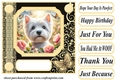 Black and yellow butterfly pup card front 9