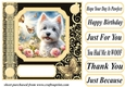 Black and yellow butterfly pup card front 10