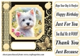 Black and yellow butterfly pup card front 11