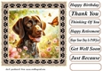 Paw frame butterfly pup card front 4