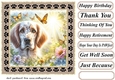 Paw frame butterfly pup card front 6
