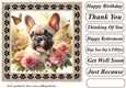 Paw frame butterfly pup card front 13