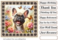 Paw frame butterfly pup card front 14