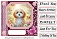 Pink butterfly pup card front 2