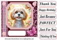 Pink butterfly pup card front 3
