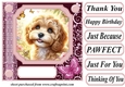 Pink butterfly pup card front 4