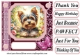 Pink butterfly pup card front 5