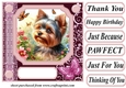 Pink butterfly pup card front 6