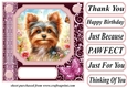 Pink butterfly pup card front 7