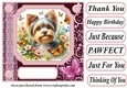 Pink butterfly pup card front 8