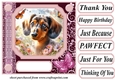 Pink butterfly pup card front 9
