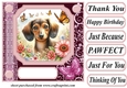 Pink butterfly pup card front 10