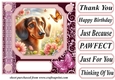 Pink butterfly pup card front 11