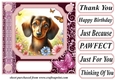 Pink butterfly pup card front 12