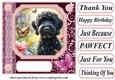 Pink butterfly pup card front 13