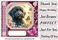 Pink butterfly pup card front 14