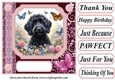 Pink butterfly pup card front 16