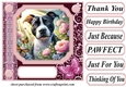 Pink butterfly pup card front 18