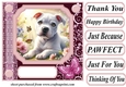 Pink butterfly pup card front 19