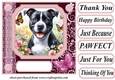 Pink butterfly pup card front 20