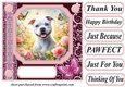 Pink butterfly pup card front 21