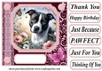 Pink butterfly pup card front 22