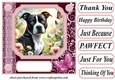 Pink butterfly pup card front 24
