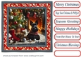 Scottish terrier Christmas scene card front 2