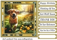 Labrador in buttercup field card front 2