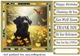 Labrador in buttercup field card front 3