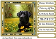 Labrador in buttercup field card front 7