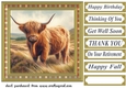 Tartan framed Highland cow card front 2