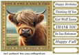Tartan framed Highland cow card front 3